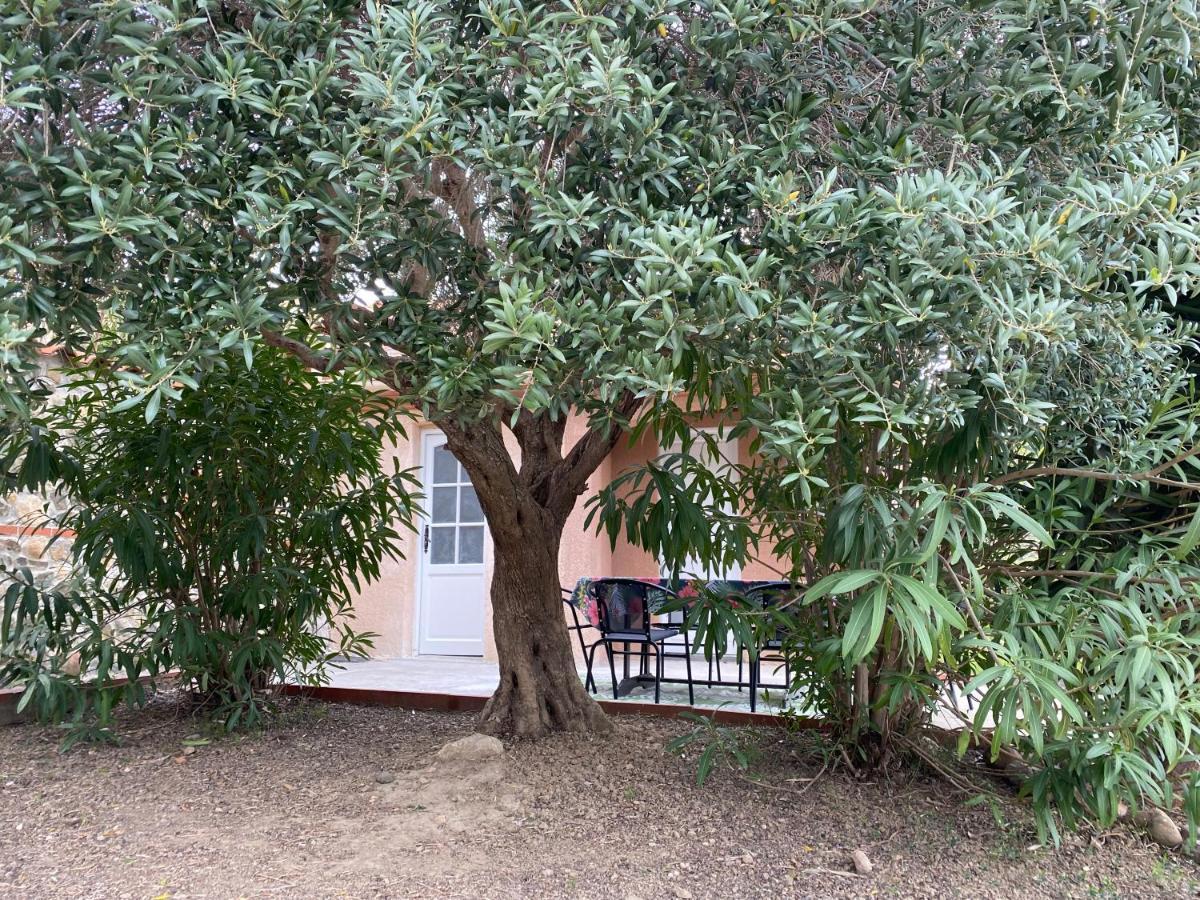 Cases Des Oliviers מראה חיצוני תמונה